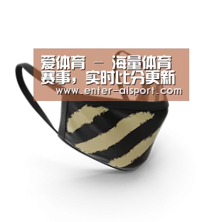 成人布口罩