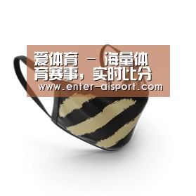 成人布口罩