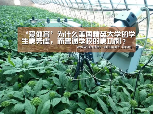 ‘爱体育’为什么美国精英大学的学生更务虚,而普通学校的更功利?(图4) 爱体育